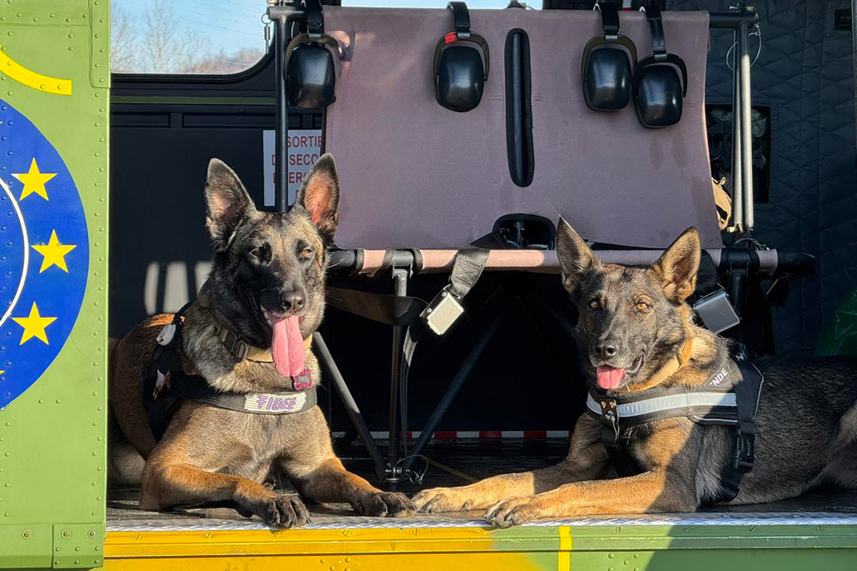 Training never stops at Camp Butmir